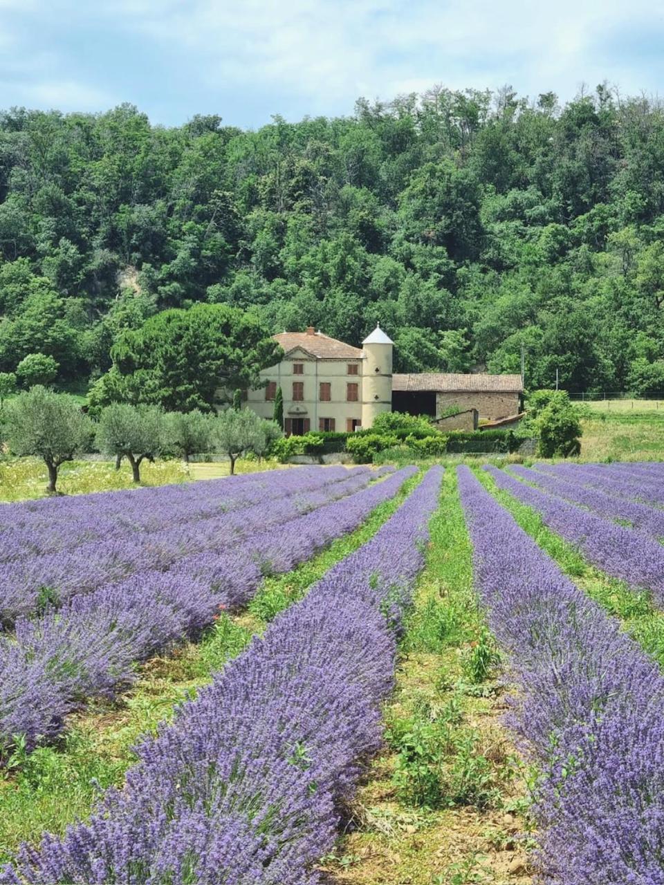 Domaine Des Balmes Villa Romans-sur-Isère Eksteriør bilde