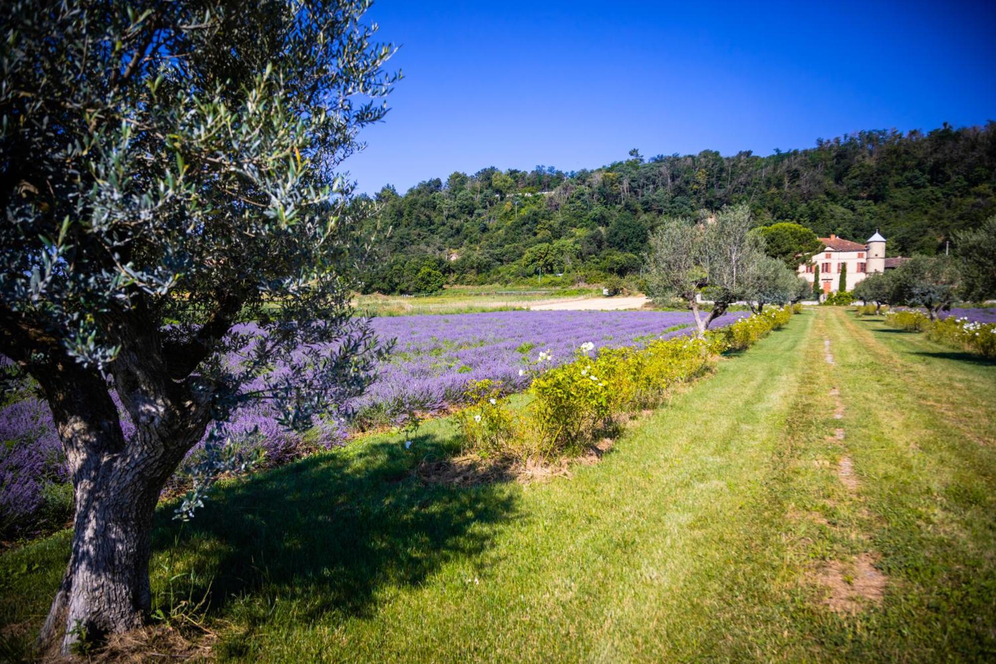 Domaine Des Balmes Villa Romans-sur-Isère Eksteriør bilde